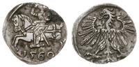 denar 1560, Wilno, Cesnulis-Ivanauskas 2SA20-9, 
