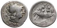 Republika Rzymska, denar, 136 pne