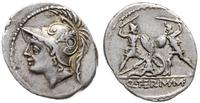 Republika Rzymska, denar, 103 pne