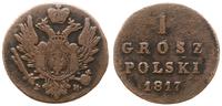 1 grosz polski 1817 IB, Warszawa, odmiana z dłuż