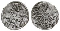 denar 1558, Wilno, Cesnulis-Ivanauskas 2SA18-9 (