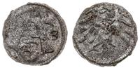 denar 1563, Królewiec, Kop. 3756 (R4), Slg. Mari