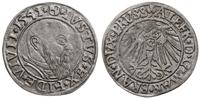 grosz 1541, Królewiec, długa broda księcia, Henc