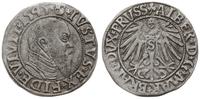 grosz 1545, Królewiec, końcówka napisu PRVSS, Sl