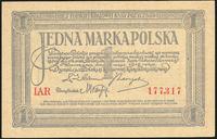 1 marka polska 17.05.1919, seria IAR, Miłczak 19
