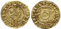 goldgulden 1491-1493, MONET' NO na awersie, złot