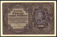 1.000 marek polskich 23.08.1919, I seria DP, Mił