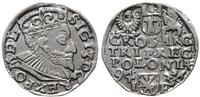 trojak 1594, Poznań, szeroka twarz króla, korona