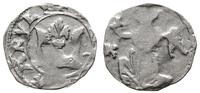 denar 1330-1336, Aw: Korona w obwódce, (M REGIS 