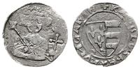 denar 1333, Aw: Ukoronowane popiersie władcy na 