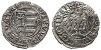 Węgry, denar, ok. 1444