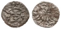 denar 1555, Gdańsk, wytrawiony, Kop. 7351 (R3), 