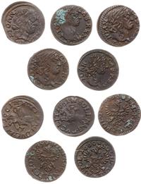 zestaw: 5 x szeląg miedziany (boratynka), monety