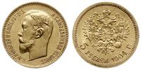 5 rubli 1904 (AP), Petersburg, złoto 4.29 g, bar