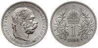 1 korona 1894, Wiedeń, Herinek 787