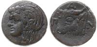 brąz 325-310 pne, Aw: Głowa satyra w lewo; Rw: G