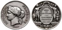 Francja, Honorowy medal za odwagę i poświęcenie II klasy (Médaille d'honneur pour acte de courage et de dévouement), 1888