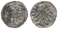 denar 1556, Elbląg, Kop. 7100 (R3), Pfau 209, CN
