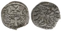 denar 1554, Elbląg, Kop. 7098 (R4), Pfau 207, CN