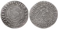 Prusy Książęce 1525-1657, grosz, 1539