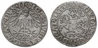 Polska, półgrosz, 1550