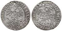 Polska, półgrosz, 1560
