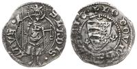 Polska, denar, ok. 1372-1382