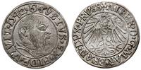 Prusy Książęce 1525-1657, grosz, 1542