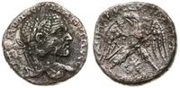 tetradrachma 217-218, Emesa, Aw: Popiersie cesar