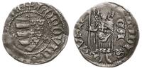 Polska, denar, 1359-1371 CA