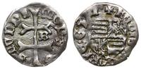 denar 1390-1427, Buda, Aw: Podwójny krzyż, MON S