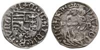 denar 1479-1485 KP, Kremnica, Aw: Tarcza herbowa