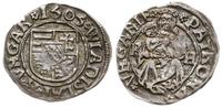 denar 1505 KH, Kremnica, Aw: Tarcza herbowa, WLA