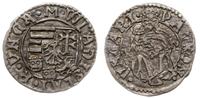 denar 1500-1502 Kh, Kremnica, Aw: Tarcza herbowa