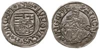 denar 1518 KG, Kremnica, Aw: Tarcza herbowa, LVD