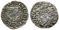 denar 1504 K h, Kremnica, Aw: Tarcza herbowa, WL