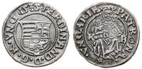 denar 1535 KB, Kremnica, Aw: Tarcza herbowa, FER
