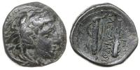 brąz 336-323, Aw: Głowa Heraklesa w lwiej skórze