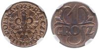 1 grosz 1923, Kings Norton, wyśmienita moneta w 