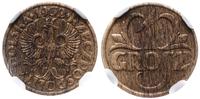 1 grosz 1932, Warszawa, moneta w pudełku NGC 478