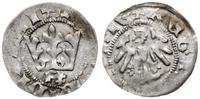 półgrosz 1412-1414, Kraków, F‡ pod koroną, srebr