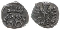 denar 1606, Poznań, skrócona data 0-6, ciemna pa