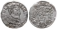 trojak 1596, Bydgoszcz, SIGIS III na awerise, PO