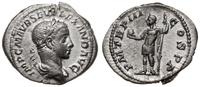 denar 224, Rzym, Aw: Popiersie w prawo, IMP C M 