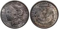 Stany Zjednoczone Ameryki (USA), 1 dolar, 1921 S