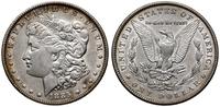 1 dolar 1885, Filadelfia, typ Morgan, srebro 26.