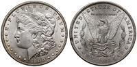 1 dolar 1900, Filadelfia, typ Morgan, srebro 26.
