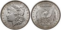 1 dolar 1903, Filadelfia, typ Morgan, srebro 26.