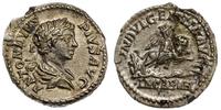 denar 204, Rzym, Aw: Popiersie cesarza w wieńcu 