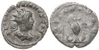antoninian 254-255, Rzym, Aw: Popiersie cesarza 